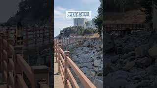 65년만에 공개된 속초 해안 산책로 바다향기로 #속초가볼만한곳 #속초바다향기로 #속초외옹치
