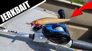 Jerkbait Caught a TON of Fish | COLD Front Fishing from Jon Boat