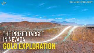 The Prized Target  In Nevada Gold Exploration - IRON POINT