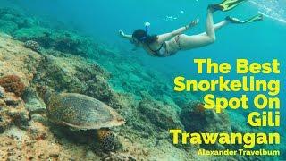 Gili Trawangan: The Best Snorkeling Spot | Travel Indonesia