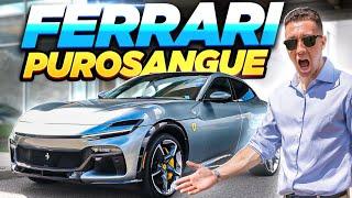 DRIVING THE ALL NEW FERRARI PUROSANGUE! (ALMOST CRASHED) [4k]