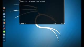 Basic Network Scanning on Kali Linux