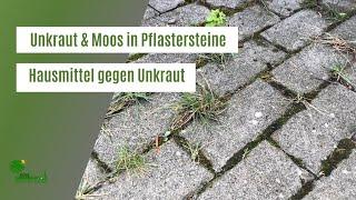 Unkraut & Moos aus Fugen und Pflastersteinen entfernen | Hausmittel gegen Unkraut | Gartentipps