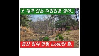 금산 임야 만평 2,600만 원, (소 계곡 있는 자연인 임야)