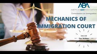 Mechanics of Immigration Court Part 2: Corroboration, Preparing Witnesses, and Working with Experts