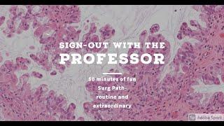 Sign-out with the Professor- Aug'24 IBD