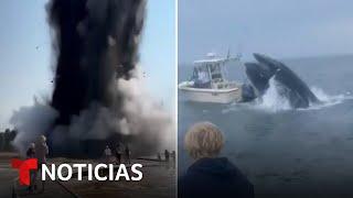 Graban una espectacular explosión y a una ballena embistiendo a un bote | Noticias Telemundo