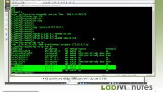 LabMinutes# RS0069 - Cisco BGP Route Reflector (Part 1)