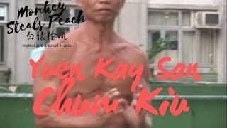 Yuen Kay San style Wing Chun - Chum Kiu by Kwok Wan Ping