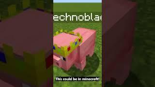 We can add Technoblade to minecraft...