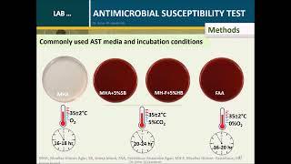 Antimicrobial Susceptibility Testing