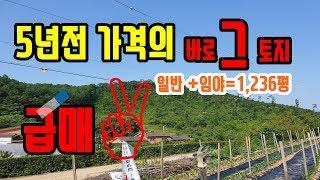 [급매 청주미원토지매매]일반+임야 부분 총 1,236평을 여러분들께 소개합니다.