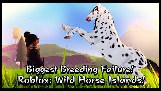 [Roblox Wild Horse Islands] Breeding The New Friesian & Other Horses! The Biggest Breeding Failure!