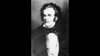 FRANZ SCHUBERT - PIANO SONATA NO. 19 IN C MINOR D 958 - BERLINZERBERUS [1]