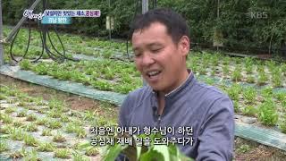 낯설지만 맛있는 채소 ‘공심채’ - 경남 함안 [6시 내고향]20190718