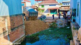 Amazing project New Project!! Land filling Delete Garbage In Flooded Area Use Dozer mini & Truck 5T