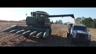 It Takes an Army! Routh Farms 2023 Corn Harvest (Part3)(9/28/23)