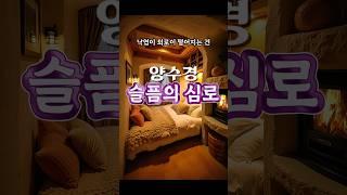 슬픔의 심로(원곡 김학래) - 양수경(1996년 리메이크)  #황금소나무의추억