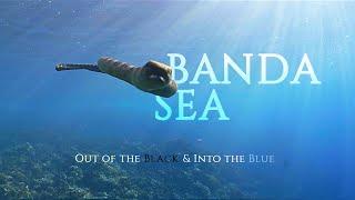 CHAPTER #20: BANDA SEA. Out of the Black & Into the Blue