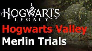 Hogwarts Legacy - All 16 Hogwarts Valley Merlin Trials Guide - Merlin's Beard Achievement & Trophy