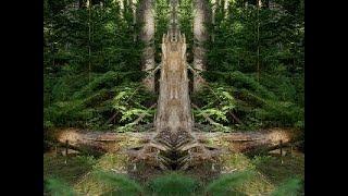 Der Wald der Spiegelwelten  Teil 2  Spiegelwelten und Dämonen