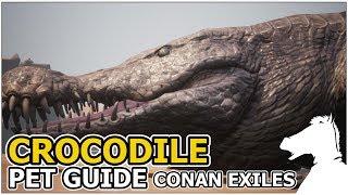 CROCODILE | Pets Guide | CONAN EXILES