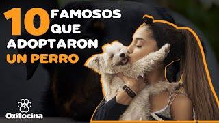 Top 10 famosos que adoptaron un perro