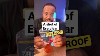 ️ TakeShots Straw​⁠ & Everclear 190 proof