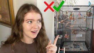 Reacting to My Subscribers’ Bird Cages | Part 5