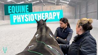 Equine Physiotherapy: assess & release tight areas | TRUE Horses