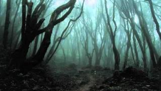 Daniel Persson - Flies