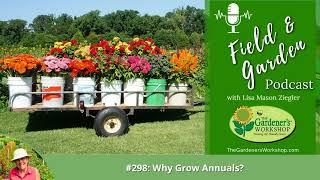 #298: Why Grow Annuals?