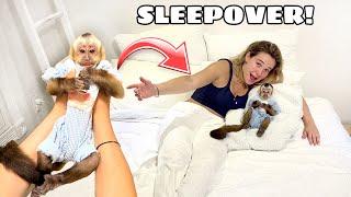 BABY MONKEY SLEEPOVER! WHAT DID WE DO?!