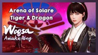 Awakening Woosa PvP | Tiger & Dragon | Arena of Solare | Black Desert Online