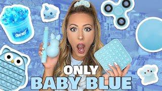 LIGHT BLUE ONLY ️FIDGET SHOPPING CHALLENGE!