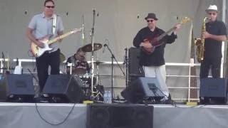 Joel Johnson - Red House (Jimi Hendrix) Live at Whitby Blues Festival