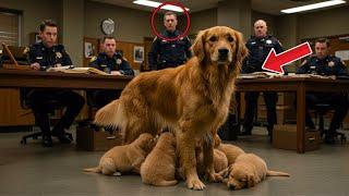 Desperate dog brings her puppies to a police station for help, touching all the officers deeply