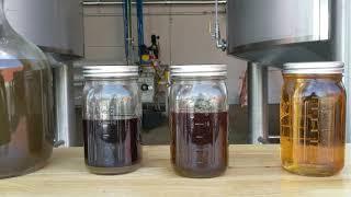 CBD Processing/Extraction with a VincentCorp Screw press and Plant Works Group engineering design