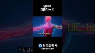 산소 악기바리