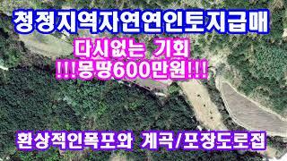 단돈600만원으로 계곡낀 자연인토지를 매입할수 있는 기회,포장도로접