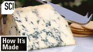 How It's Made: Blue Stilton Cheese