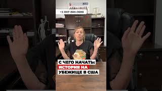 С чего начать? История на политическое убежище в США, кейс на убежище #cbpone #иммиграция #убежище