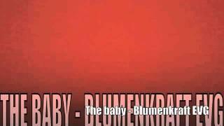 The Baby - Blumenkraft EVG