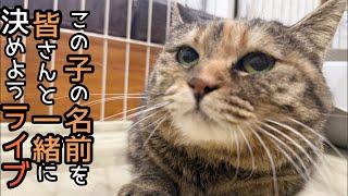 ニューフェイスに、素敵な名前付けて欲しいですねん生ライブ️