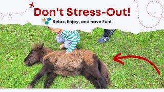 Why Too Much Stress Is Killing You?  Let's walk and and get a regular dose of productive chat!