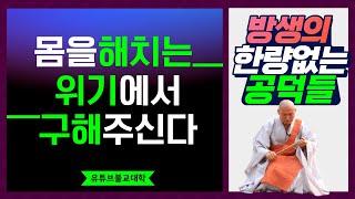 [불교] 우학스님 생활법문 (어람관세음보살/33관음-32)