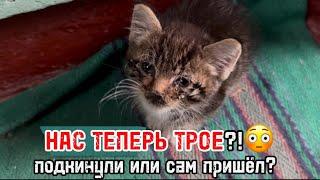 Одна в деревне? Похоже нас теперь… 🫣