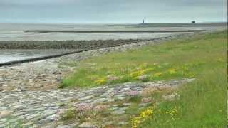 Waddenacademie film NL