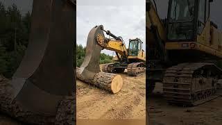 The process of cutting wood using a large axe #shorts