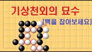 바둑 묘수 사활 - 기상천외의 묘수를 발견하면 백을 잡을 수 있습니다.